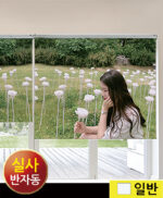 일반원단 실사반자동 원터치스크린-화이트 롤블라인드/ 원터치롤스크린